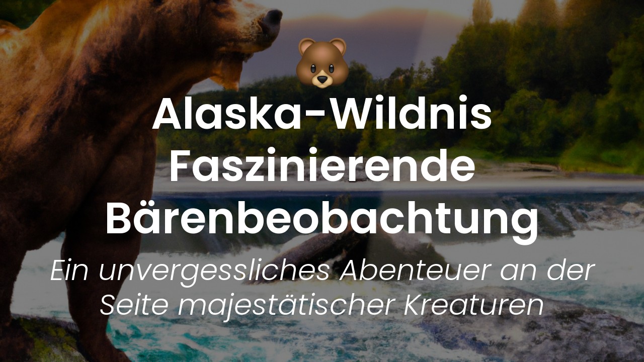 Anchorage Bärenbeobachtung-featured-image