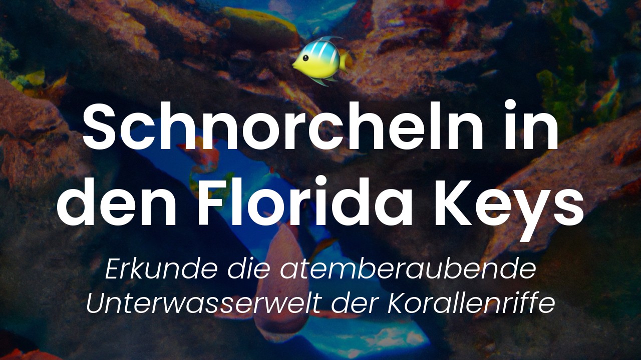 Florida Keys Schnorcheln-featured-image