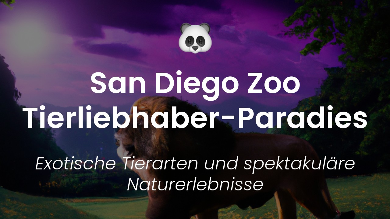 San Diego Zoo-featured-image