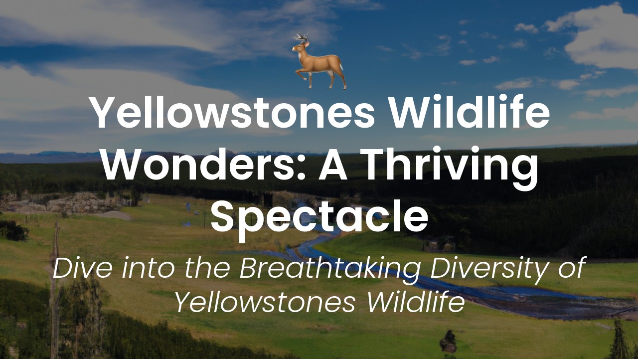 Yellowstone Wildlife-featured-image