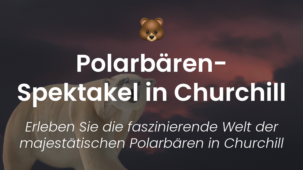 Besuch der Polarbären in Churchill-featured-image