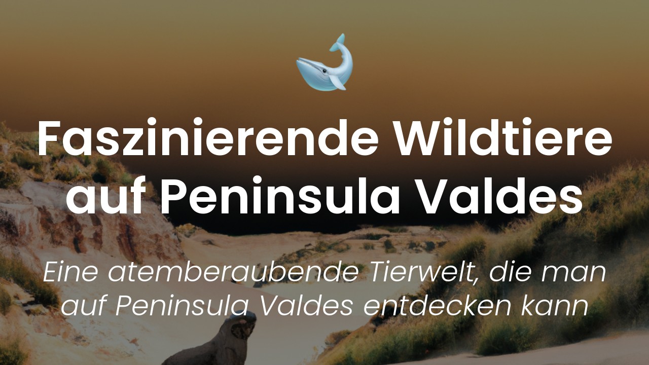 Wildtiere in Peninsula Valdes-featured-image